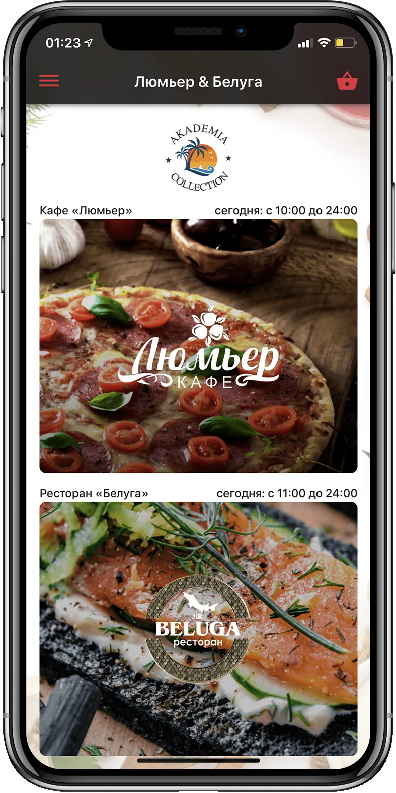 akademia — скриншот проекта ak0.webp